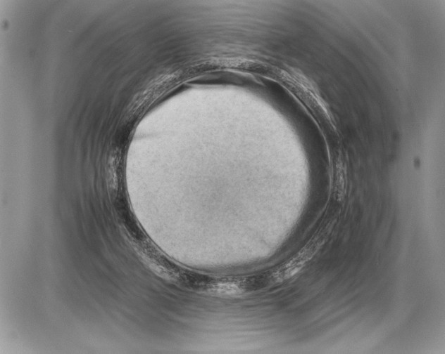 X0000085740114200704131655