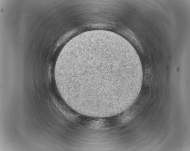 X0000085740116200704131655