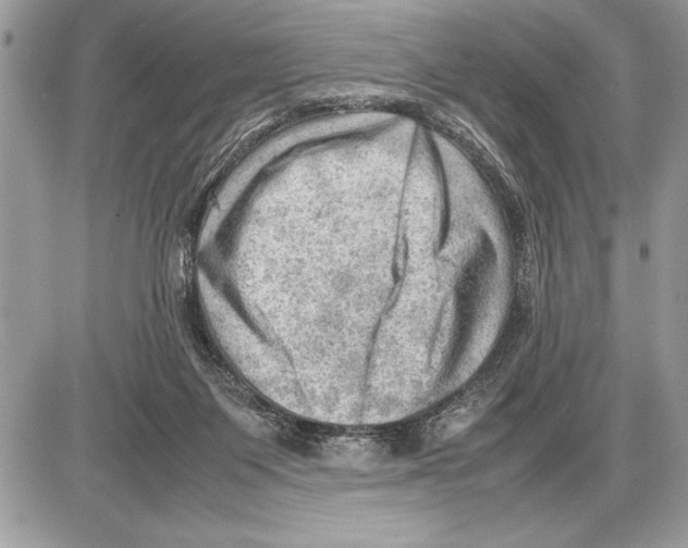 X0000085740119200704131655