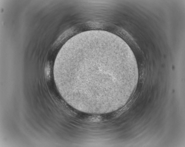 X0000085740124200704131655