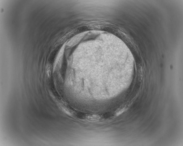 X0000085740125200704131655