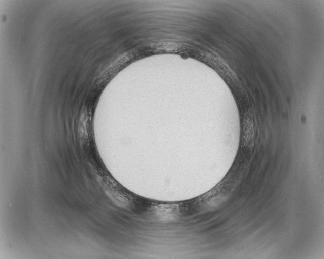 X0000085740126200704131655
