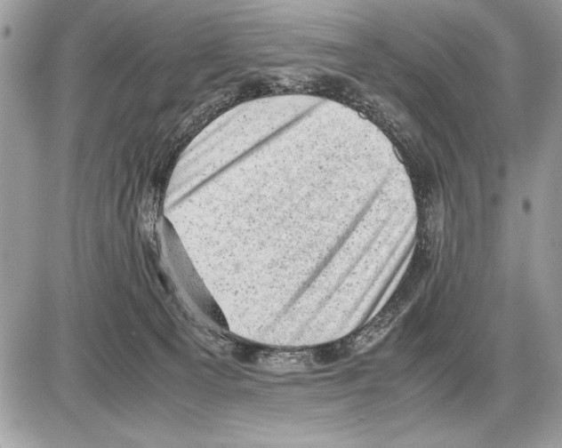 X0000085740129200704131654