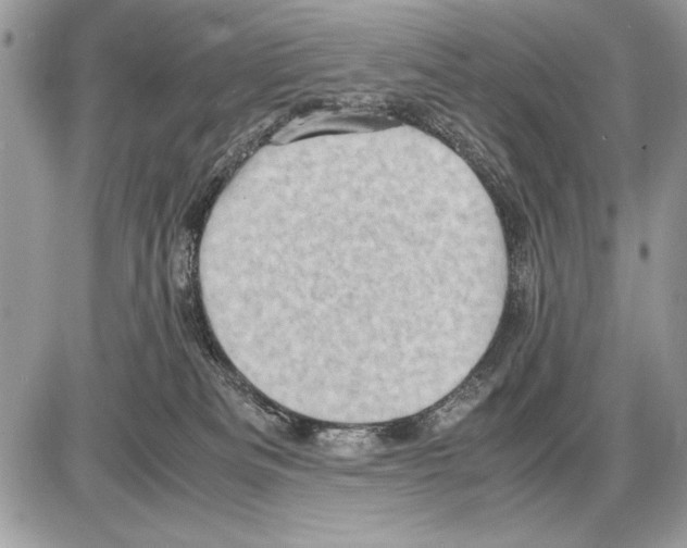 X0000085740133200704131654