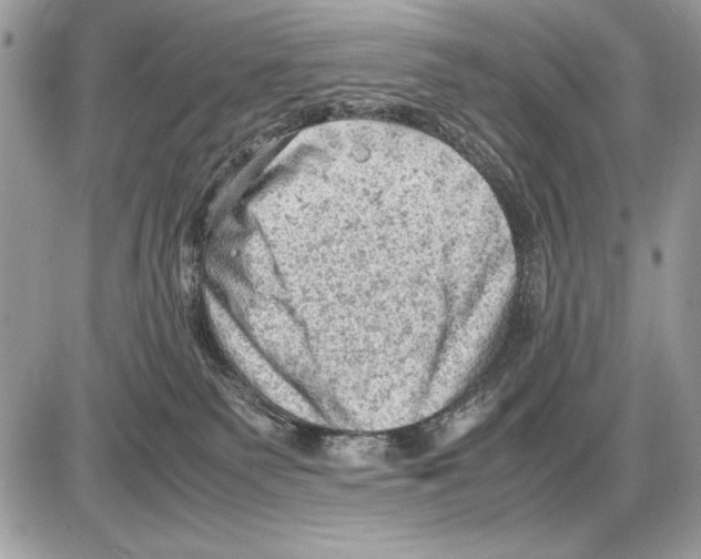 X0000085740135200704131654