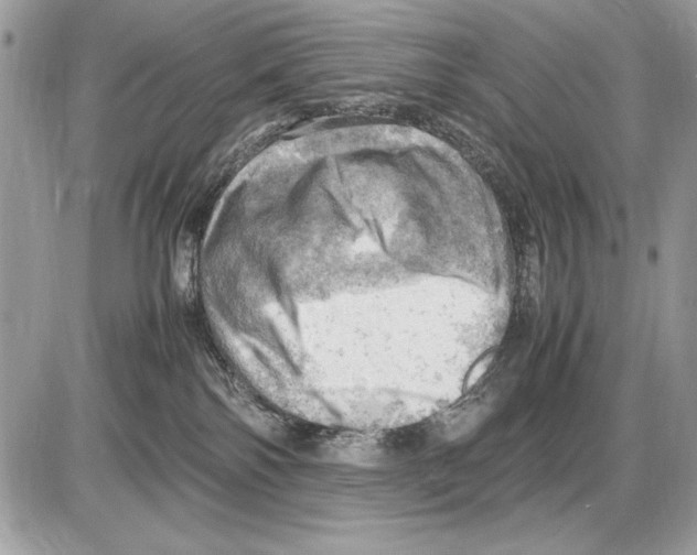 X0000085740138200704131654