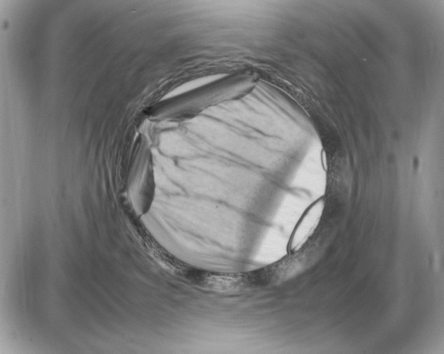 X0000085740139200704131654