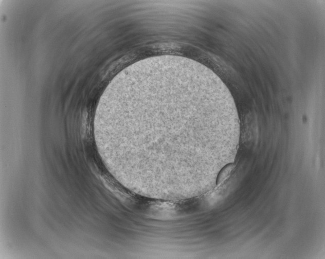 X0000085740140200704131654