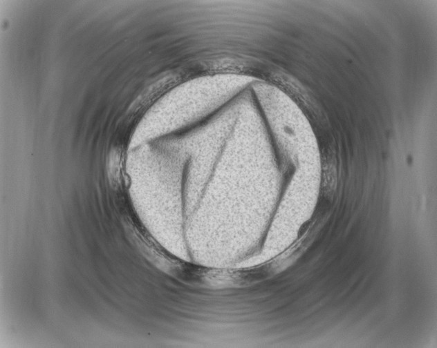 X0000085740142200704131654