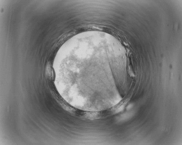 X0000085740143200704131654