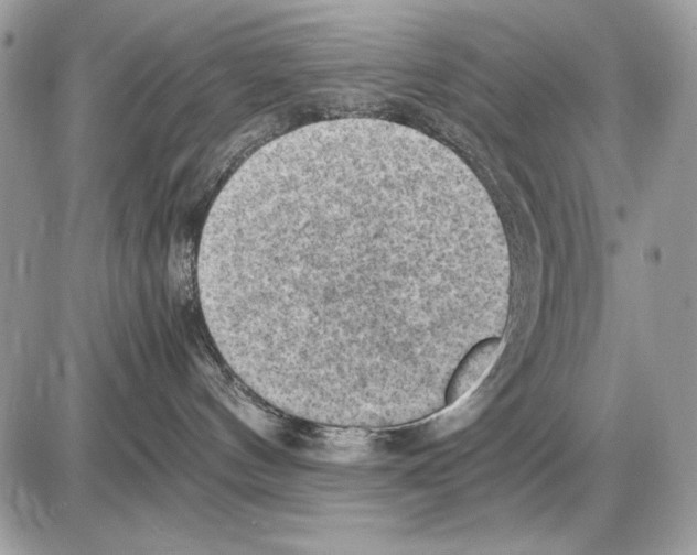X0000085740144200704131654