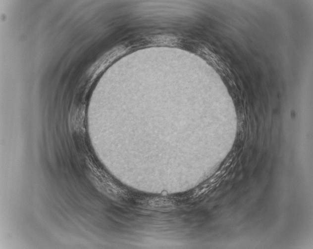 X0000085740146200704131653
