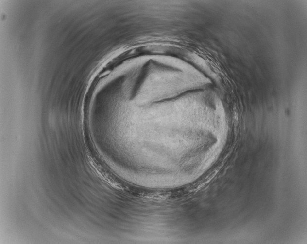 X0000085740148200704131653
