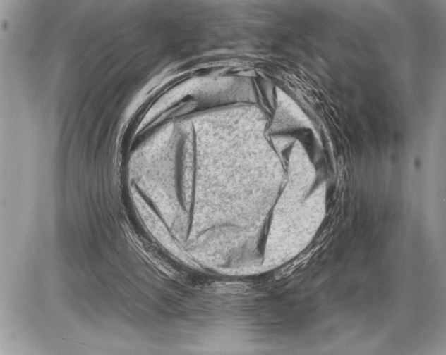 X0000085740150200704131654
