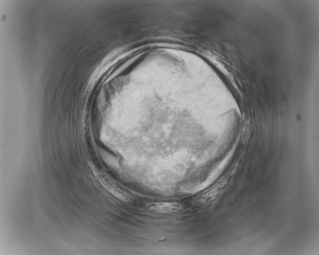 X0000085740151200704131654
