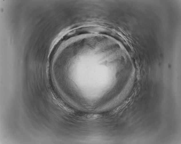X0000085740152200704131654