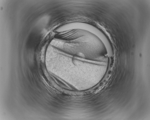 X0000085740154200704131654