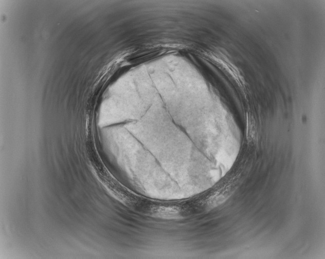 X0000085740157200704131654