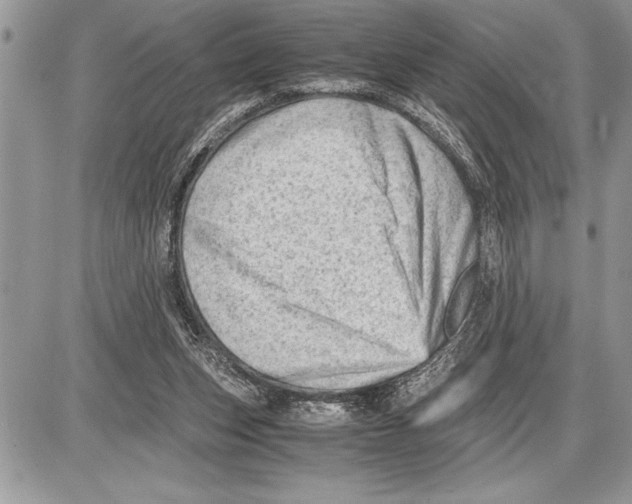 X0000085740159200704131654