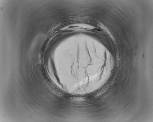 X0000085740161200704131654