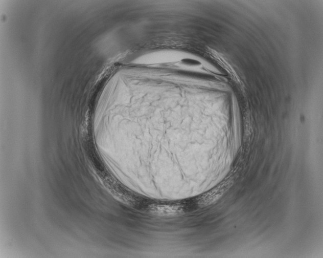 X0000085740163200704131654