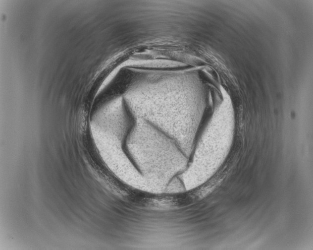 X0000085740164200704131654