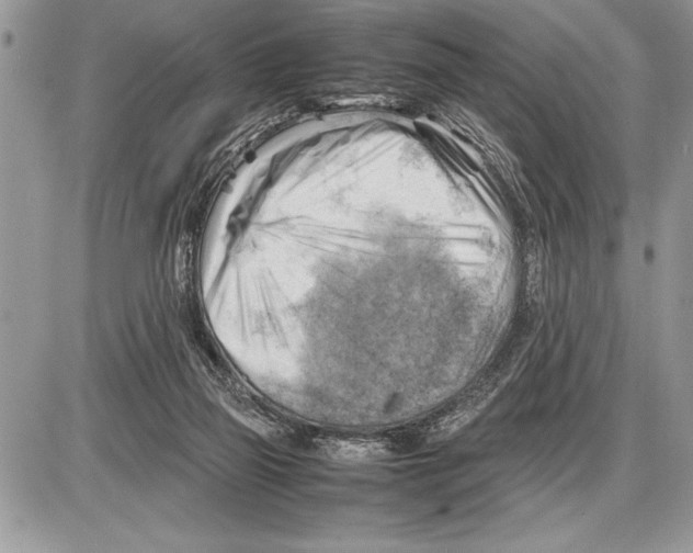 X0000085740165200704131654