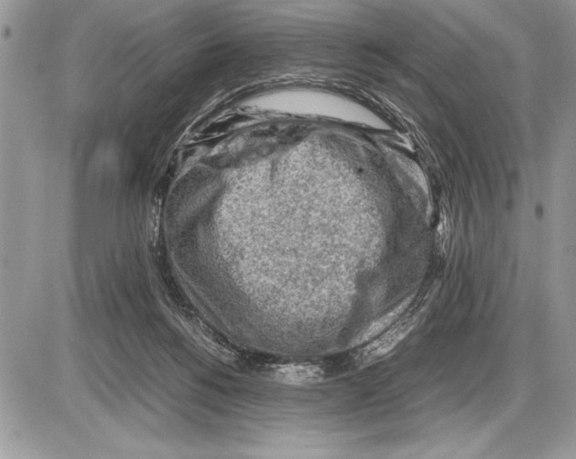 X0000085740168200704131654