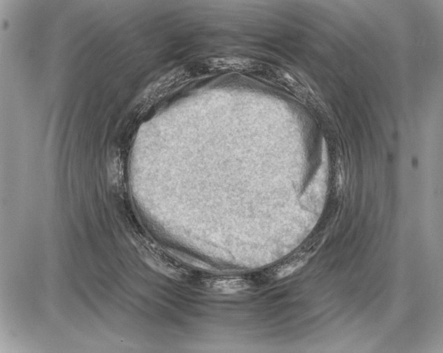 X0000085740173200704131654