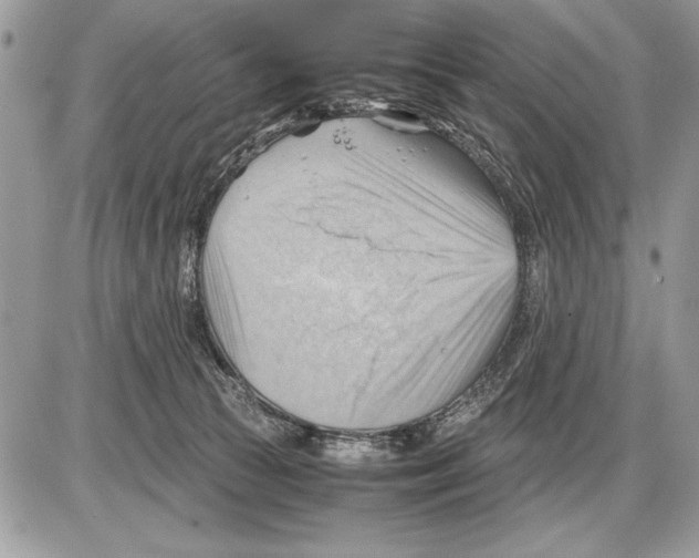 X0000085740177200704131654