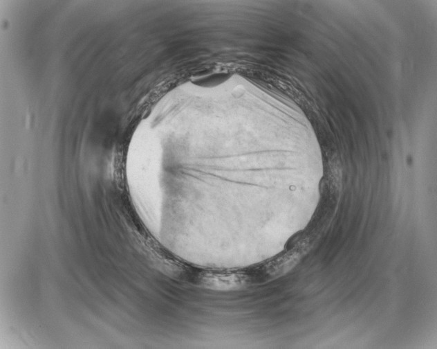 X0000085740181200704131654