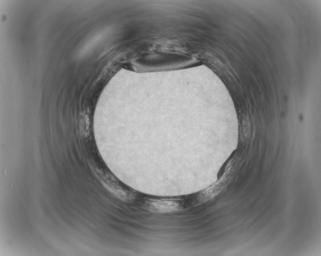 X0000085740183200704131654