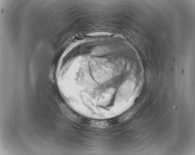 X0000085740185200704131654