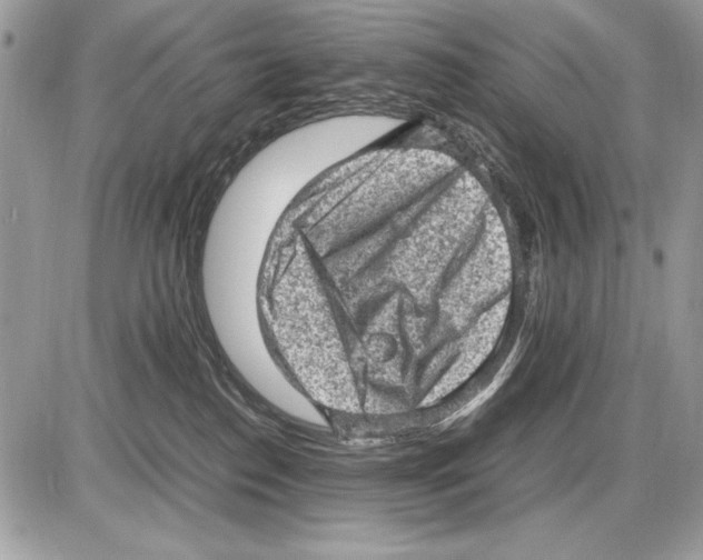 X0000085740186200704131654