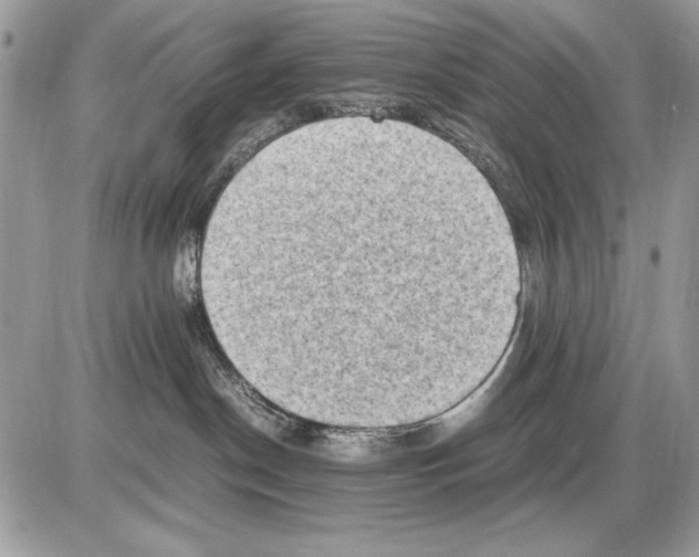 X0000085740190200704131654