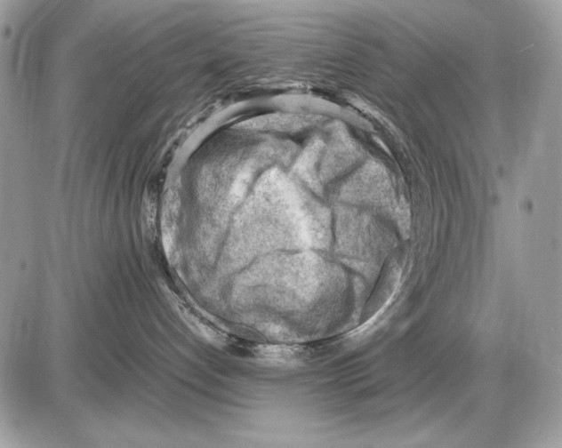 X0000085740192200704131654