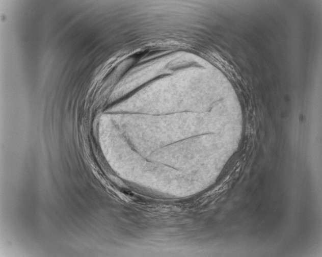 X0000085740193200704131653