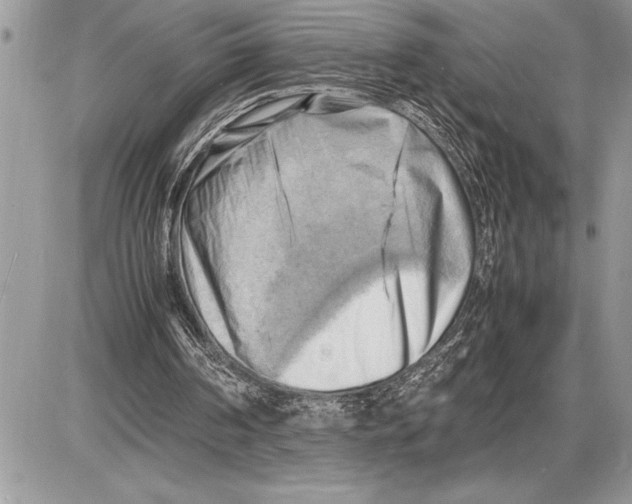 X0000085740194200704131653