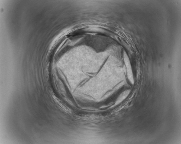 X0000085740197200704131653