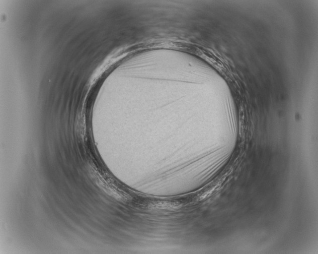 X0000085740198200704131653