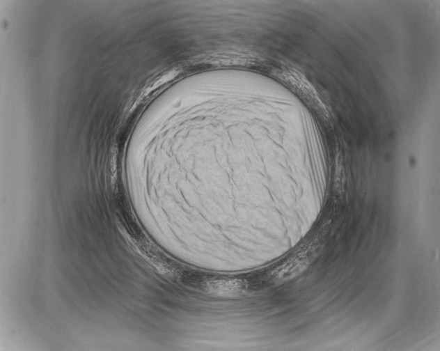 X0000085740202200704131653