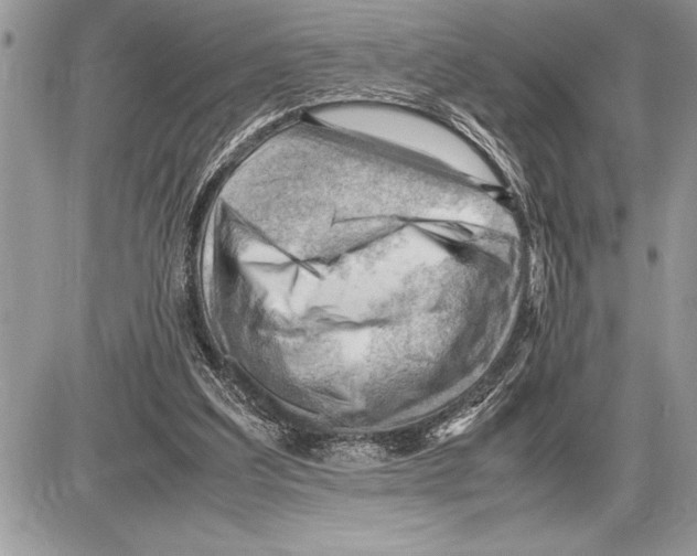 X0000085740203200704131653