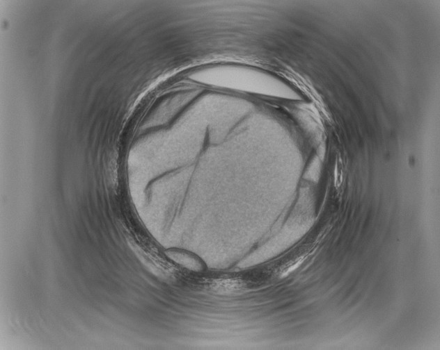 X0000085740204200704131653