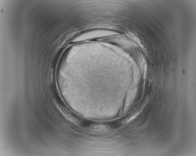 X0000085740205200704131653