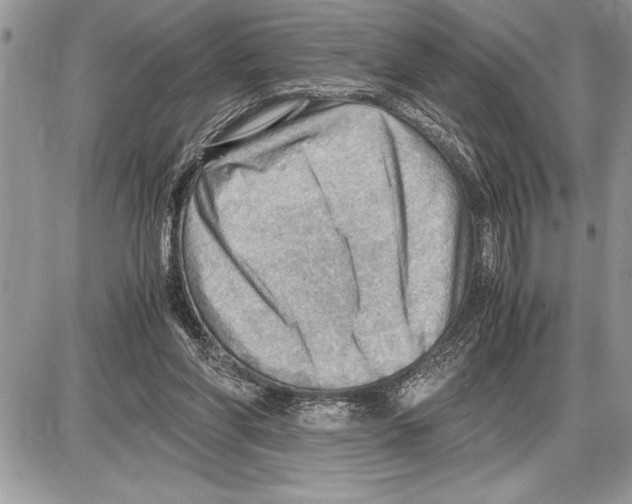 X0000085740206200704131653