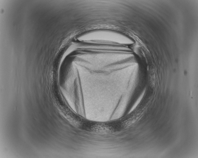 X0000085740207200704131653