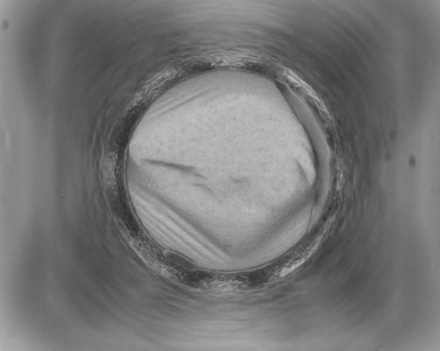 X0000085740209200704131653