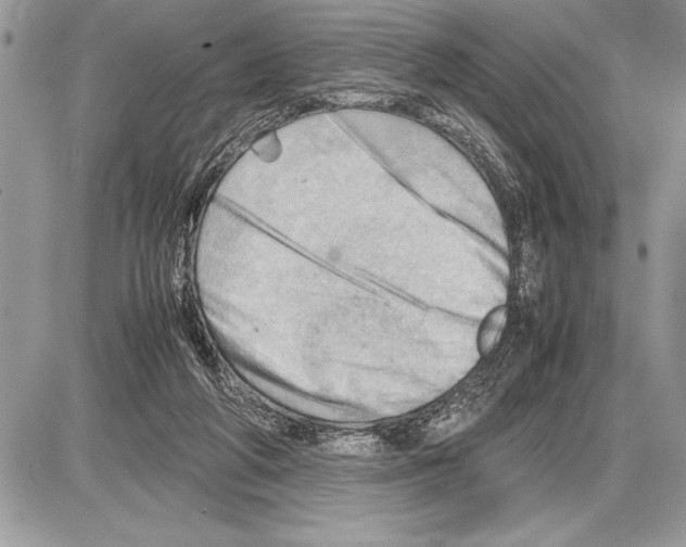 X0000085740210200704131653