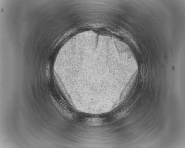 X0000085740212200704131653