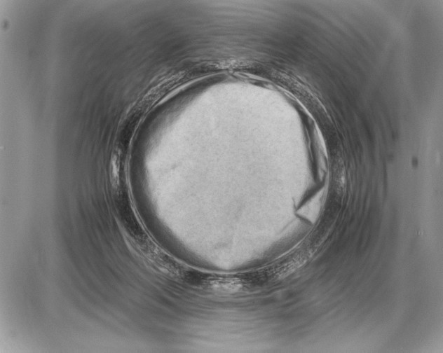 X0000085740214200704131653